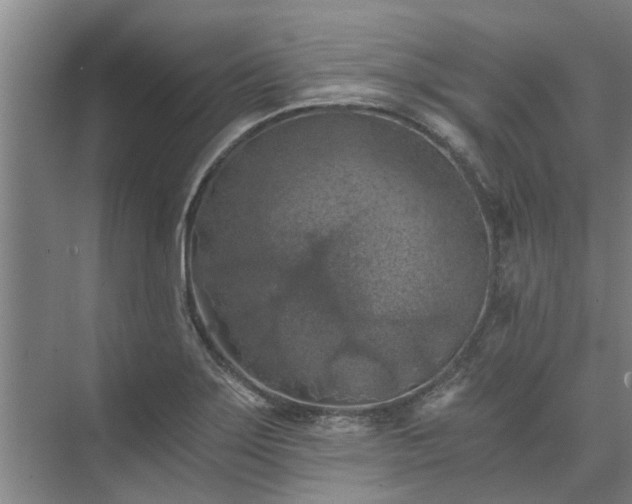 X0000072961275200607282246