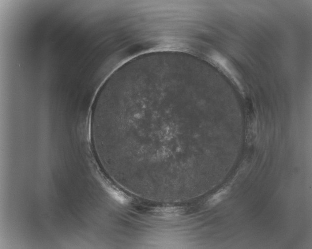 X0000072961276200607282246