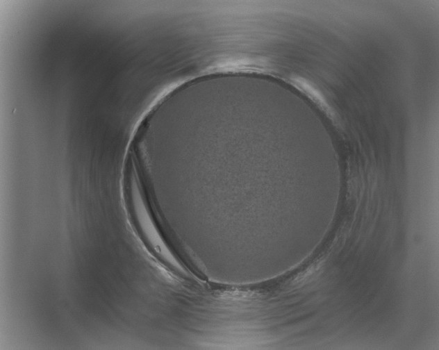 X0000072961277200607282246