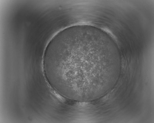 X0000072961278200607282246