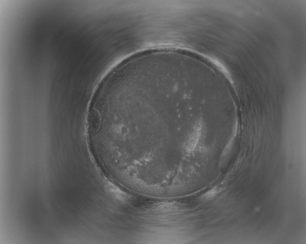 X0000072961279200607282246