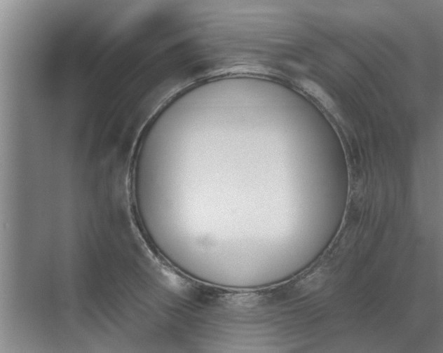 X0000072961282200607282246