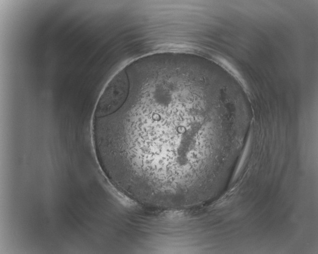 X0000072961283200607282246