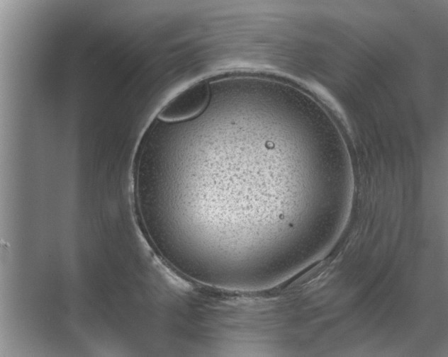 X0000072961287200607282246