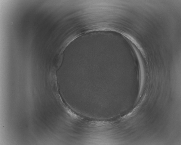 X0000072961289200607282246