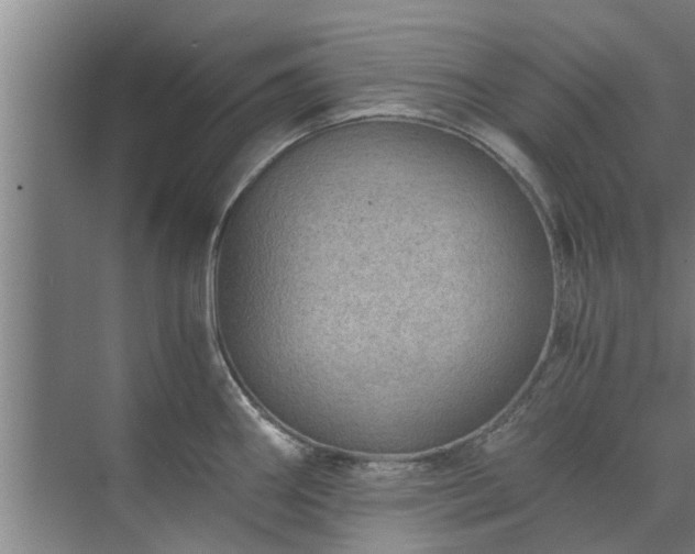 X0000072961290200607282246