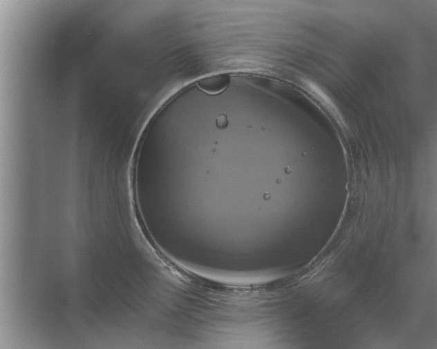 X0000072961291200607282246