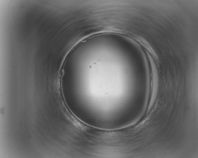 X0000072961292200607282246