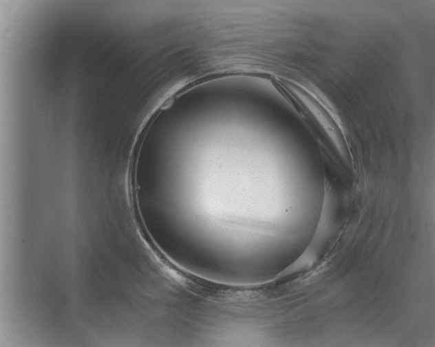 X0000072961293200607282246