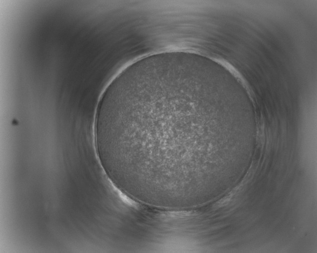 X0000072961294200607282246