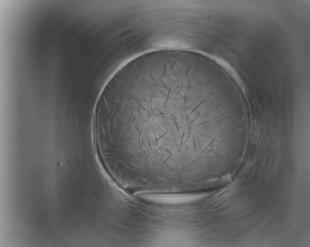 X0000072961295200607282246