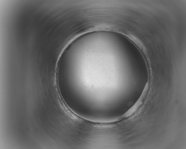 X0000072961296200607282246