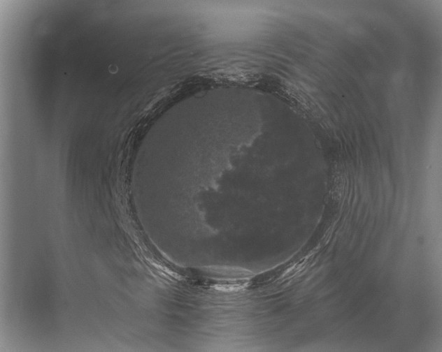 X0000072961297200607282245