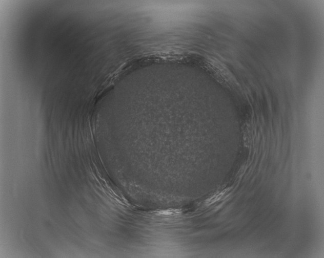 X0000072961298200607282245