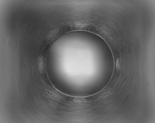 X0000072961299200607282245