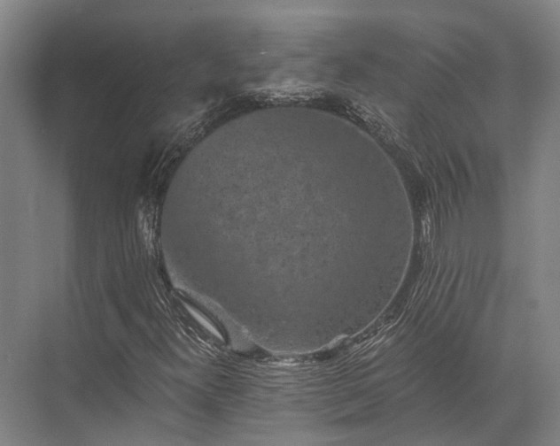 X0000072961300200607282245