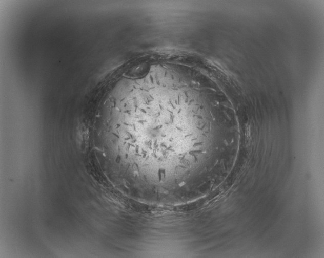 X0000072961302200607282245