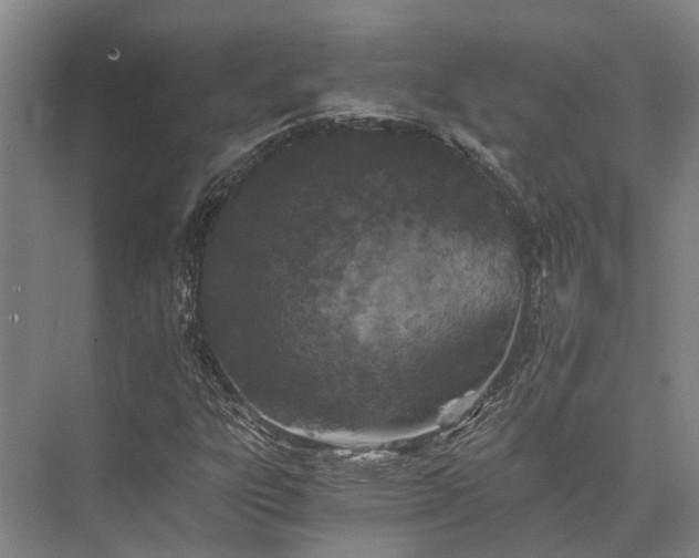 X0000072961303200607282245