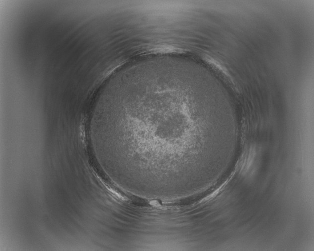 X0000072961305200607282245