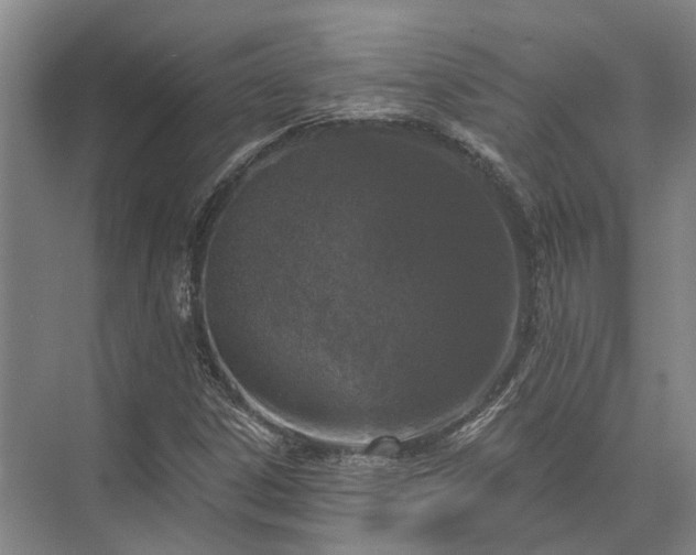 X0000072961306200607282245