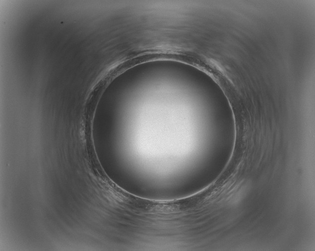 X0000072961307200607282245