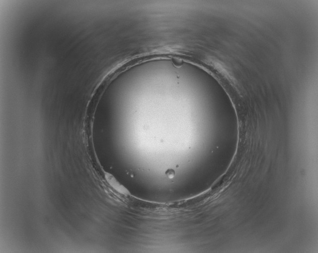 X0000072961308200607282245