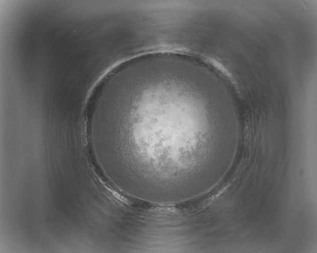 X0000072961310200607282245