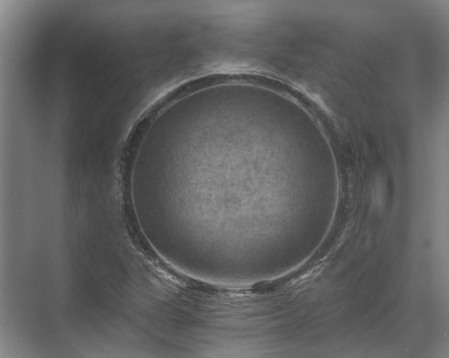 X0000072961311200607282245