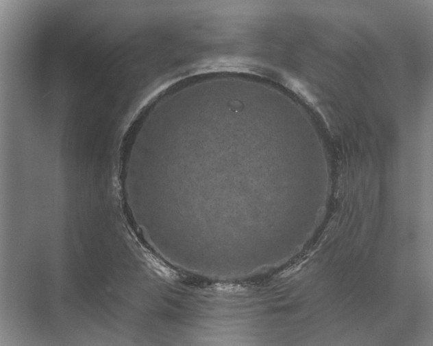 X0000072961312200607282245