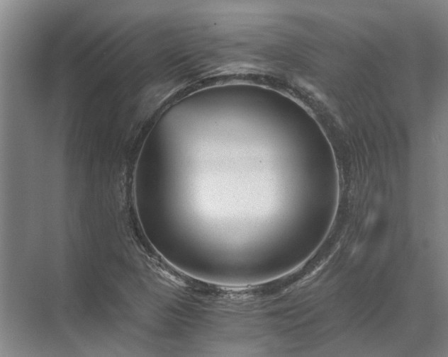 X0000072961313200607282245