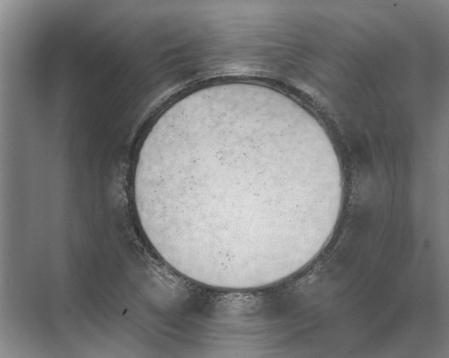 X0000072961314200607282245