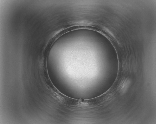 X0000072961315200607282245