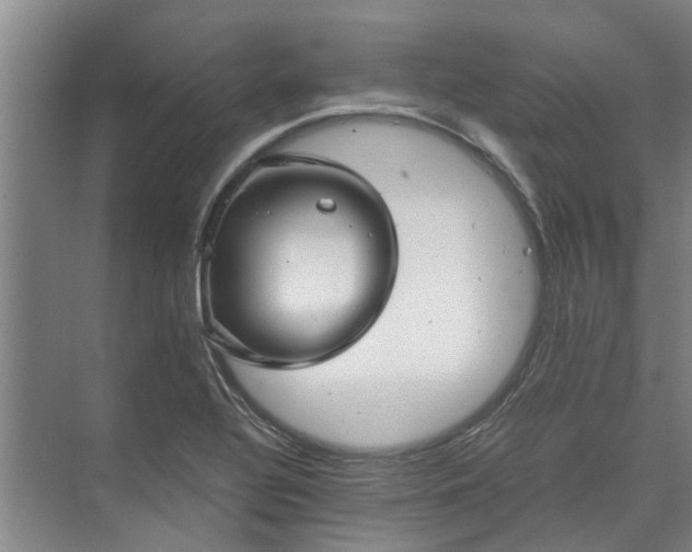 X0000072961320200607282246