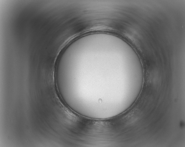 X0000072961322200607282246