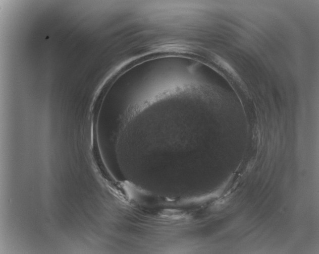 X0000072961323200607282246