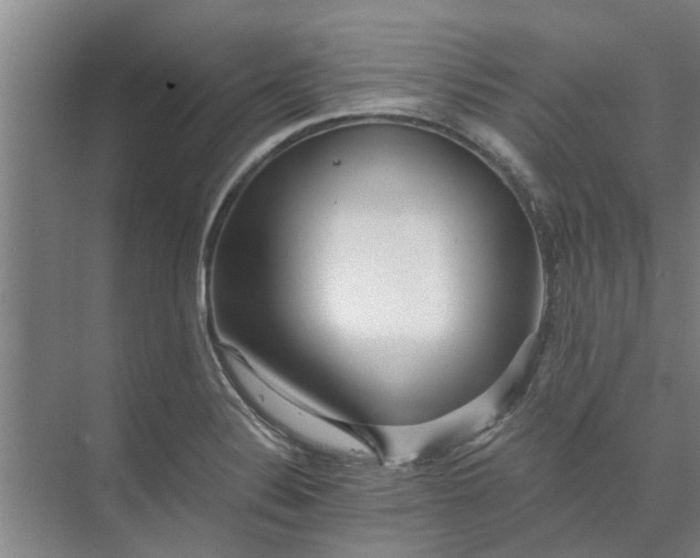 X0000072961324200607282246