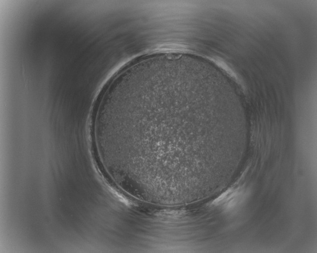 X0000072961325200607282246