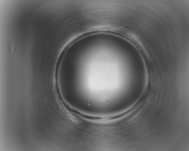 X0000072961328200607282246