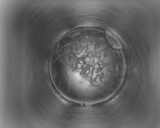 X0000072961329200607282246