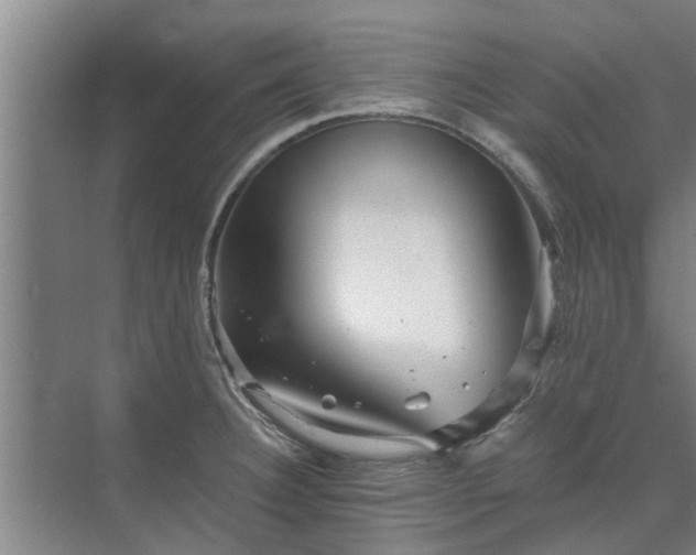 X0000072961332200607282246