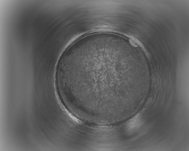 X0000072961333200607282246