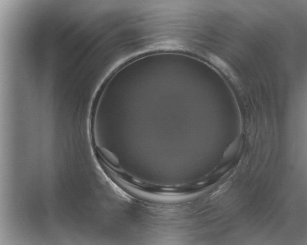 X0000072961334200607282246