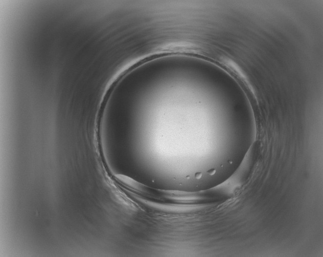 X0000072961336200607282246