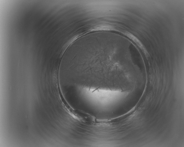 X0000072961337200607282246