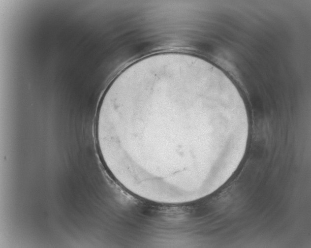 X0000072961338200607282246