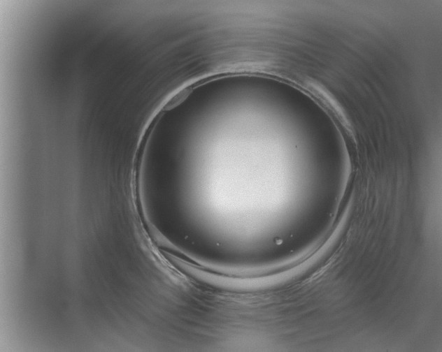 X0000072961340200607282246