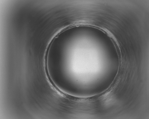 X0000072961341200607282246