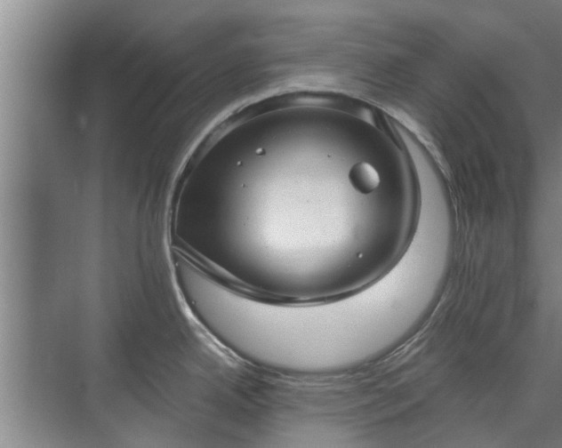 X0000072961342200607282246