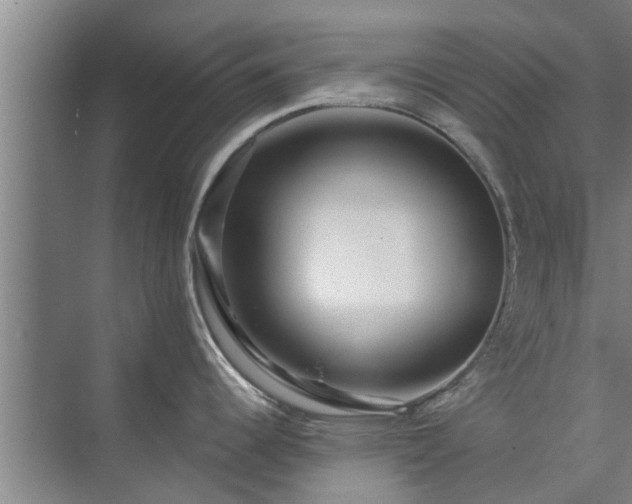 X0000072961344200607282246