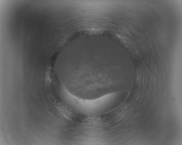 X0000072961346200607282245